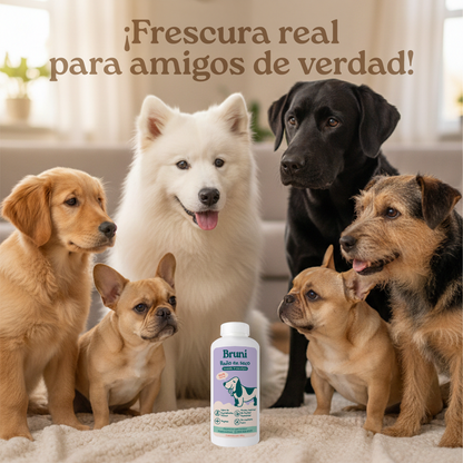 Combo 1: 2 pzas. Bruni, Baño en seco